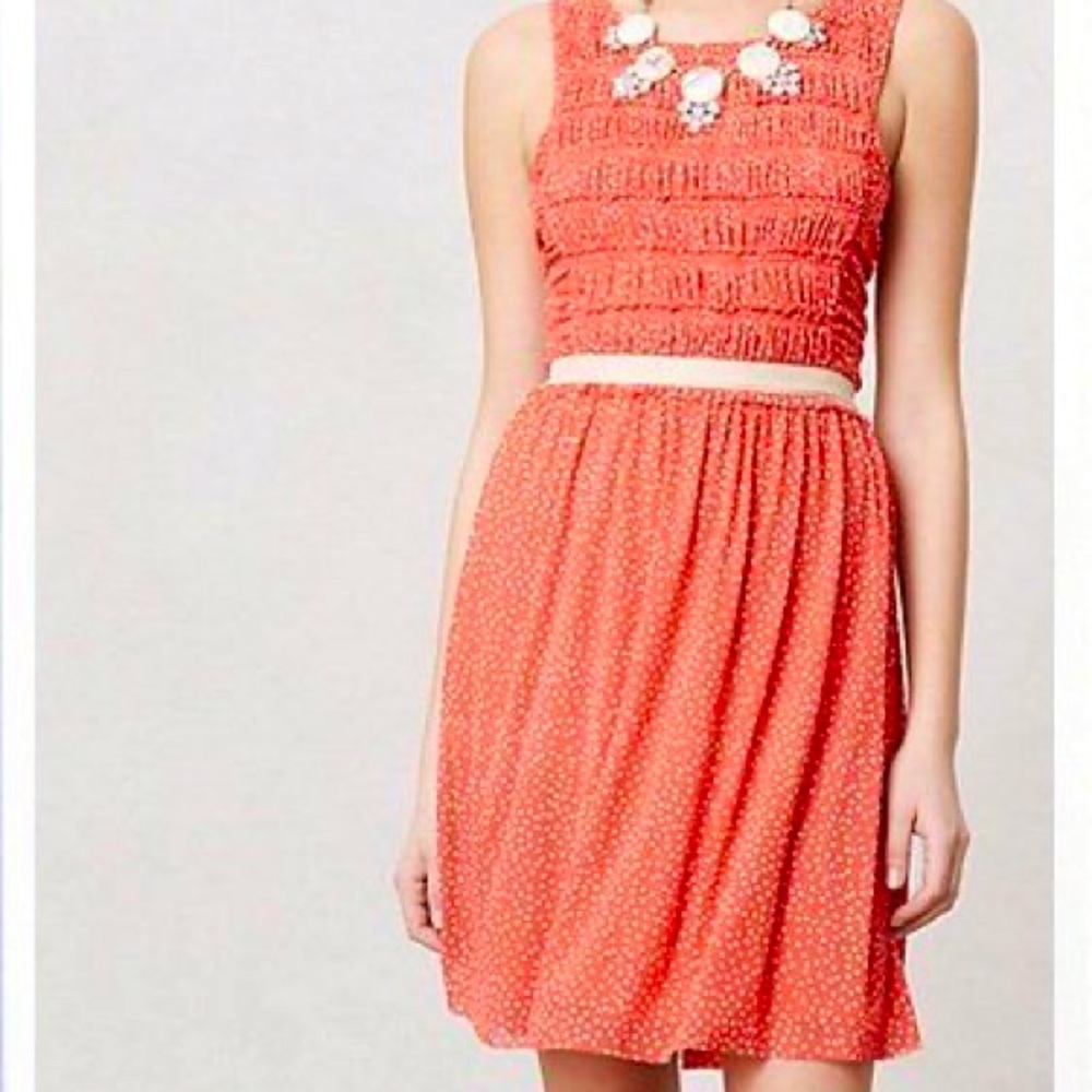 Anthropologie Postmark mesh Swiss dot dress